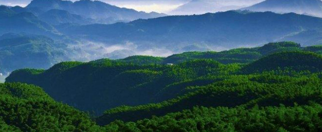 为宜宾兴文县发展投资集团公司提供业务转型咨询