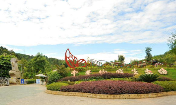 为四川省彭州市国有投资公司提供内部控制咨询服务