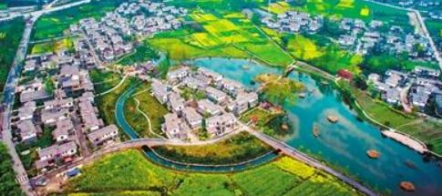 为郫县乡村振兴投资公司提供投资咨询服务
