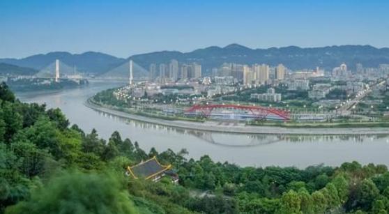 为宜宾某县提供深化国企改革，高质量发展规划
