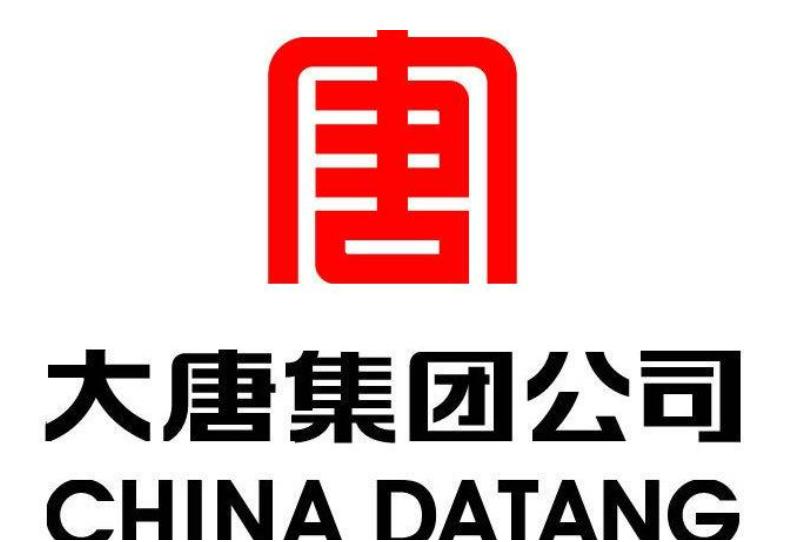 我公司为大唐集团子公司提供内部控制评价咨询
