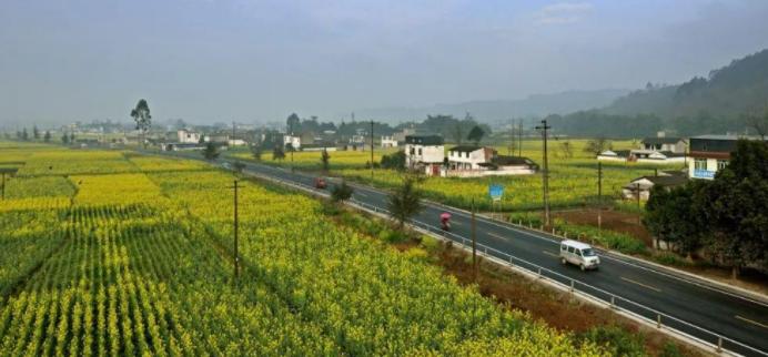 为眉山市彭山正兴农业发展投资有限公司提供投资咨询服务
