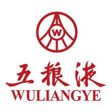 为五粮液环保产业有限公司提供十三五发展战略规划咨询
