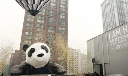 公司为成都投控集团金控股权基金提供管理咨询服务
